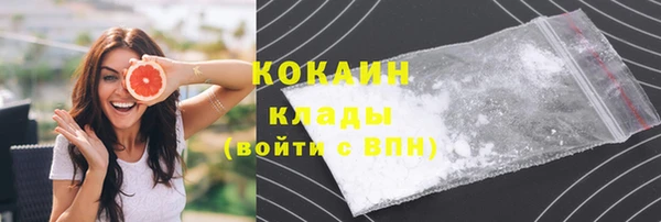 крисы Богданович