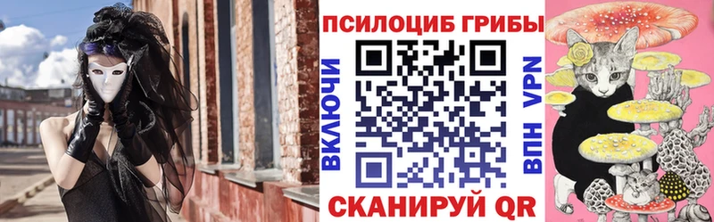 купить   Нюрба  Галлюциногенные грибы Cubensis 